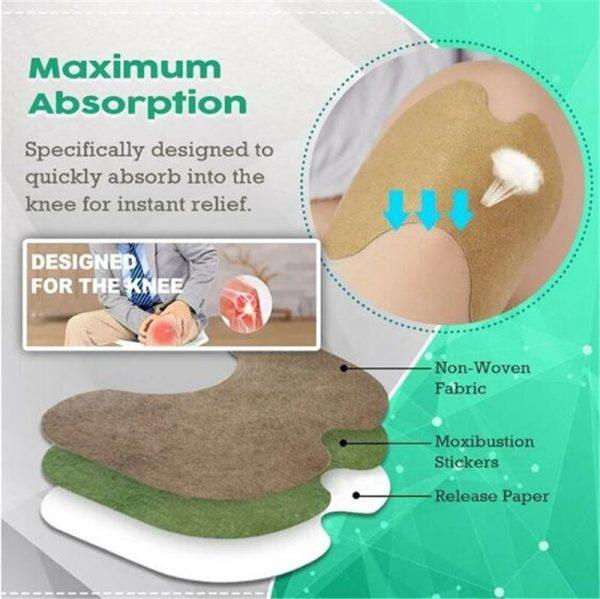 Natural Herbal 12 Pcs Knee Pain