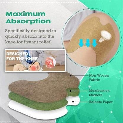 Natural Herbal 12 Pcs Knee Pain