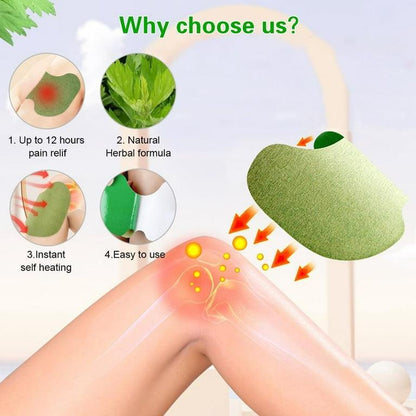 Natural Herbal 12 Pcs Knee Pain