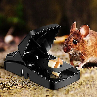 Heavy Duty Reusable Plastic Mouse Trap Durable Safe Effective And Long Lasting Mouse Catcher For Rodent Control - Pack Of 2